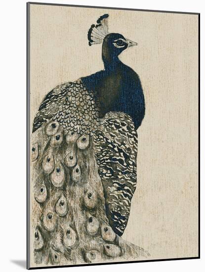 Textured Peacock I-Grace Popp-Mounted Art Print