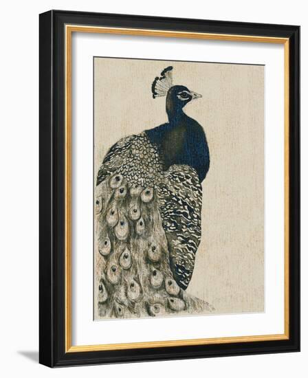 Textured Peacock I-Grace Popp-Framed Art Print