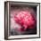 Textured Red Peony-Philippe Sainte-Laudy-Framed Photographic Print