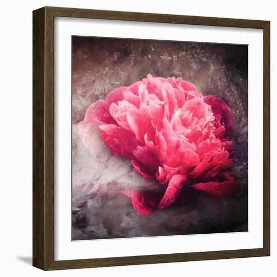 Textured Red Peony-Philippe Sainte-Laudy-Framed Photographic Print