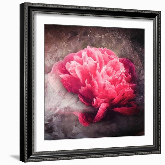 Textured Red Peony-Philippe Sainte-Laudy-Framed Photographic Print