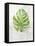 Textured Split Leaf Palm-Ken Roko-Framed Stretched Canvas