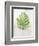 Textured Split Leaf Palm-Ken Roko-Framed Art Print