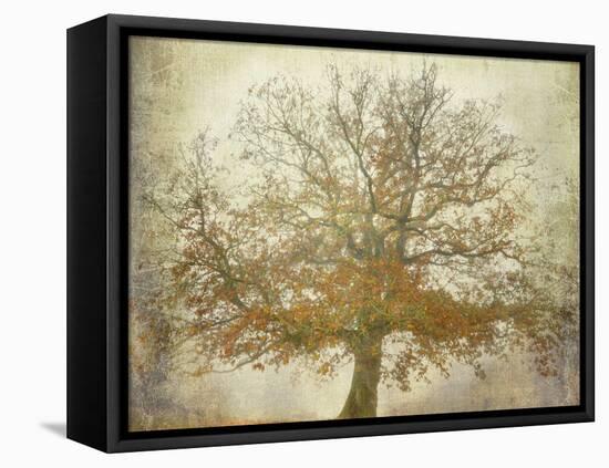 Textured Tree-Philippe Manguin-Framed Premier Image Canvas