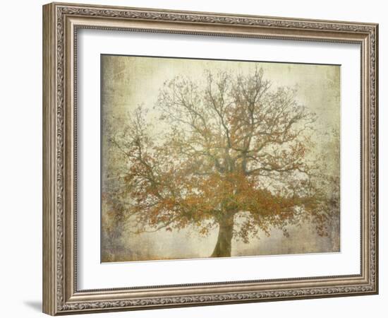 Textured Tree-Philippe Manguin-Framed Photographic Print