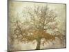 Textured Tree-Philippe Manguin-Mounted Photographic Print