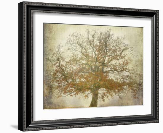 Textured Tree-Philippe Manguin-Framed Photographic Print