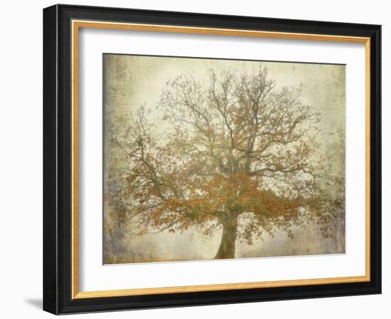 Textured Tree-Philippe Manguin-Framed Photographic Print