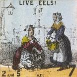 Live Eels!, Cries of London, C1840-TH Jones-Giclee Print
