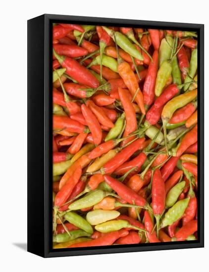 Thai Chili, Khon Kaen Market, Thailand-Gavriel Jecan-Framed Premier Image Canvas