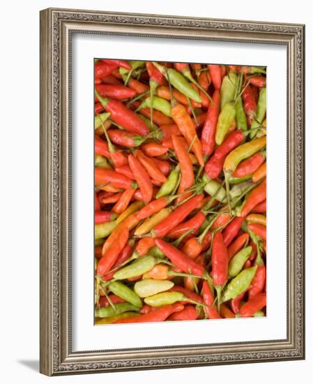 Thai Chili, Khon Kaen Market, Thailand-Gavriel Jecan-Framed Photographic Print