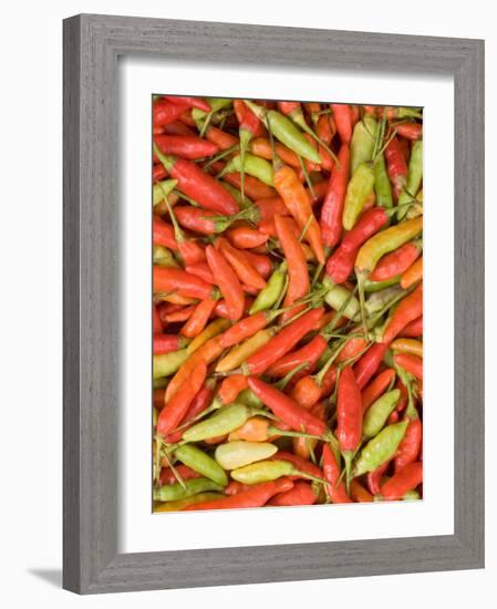 Thai Chili, Khon Kaen Market, Thailand-Gavriel Jecan-Framed Photographic Print