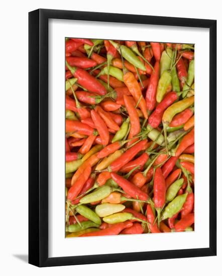 Thai Chili, Khon Kaen Market, Thailand-Gavriel Jecan-Framed Photographic Print