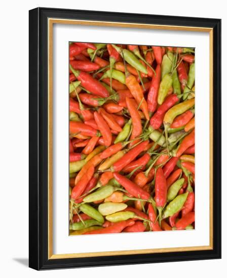 Thai Chili, Khon Kaen Market, Thailand-Gavriel Jecan-Framed Photographic Print