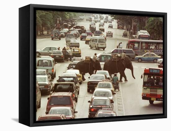 Thai Elephants Maneuver Their Way Through a Bangkok Traffic Jam in Downtown-null-Framed Premier Image Canvas