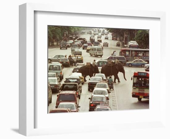 Thai Elephants Maneuver Their Way Through a Bangkok Traffic Jam in Downtown-null-Framed Photographic Print