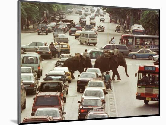 Thai Elephants Maneuver Their Way Through a Bangkok Traffic Jam in Downtown-null-Mounted Photographic Print