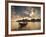 Thai Fishing Boats Off Phi Phi Island at Sunset-Alex Saberi-Framed Photographic Print