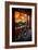 Thai in Amsterdam-Erin Berzel-Framed Photographic Print