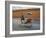 Thai Man in Motion, Chiang Mai, Thailand.-Adam Jones-Framed Photographic Print