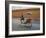 Thai Man in Motion, Chiang Mai, Thailand.-Adam Jones-Framed Photographic Print