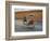 Thai Man in Motion, Chiang Mai, Thailand.-Adam Jones-Framed Photographic Print