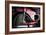 Thai Motorbike-Erin Berzel-Framed Photographic Print