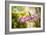 Thai Orchids-Erin Berzel-Framed Photographic Print