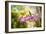 Thai Orchids-Erin Berzel-Framed Photographic Print