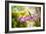 Thai Orchids-Erin Berzel-Framed Photographic Print