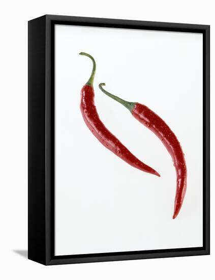 Thai Peppers-Kaktusfactory-Framed Premier Image Canvas