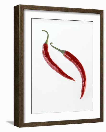 Thai Peppers-Kaktusfactory-Framed Photographic Print