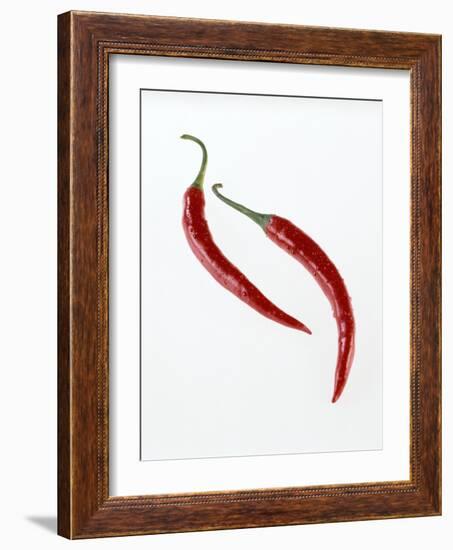 Thai Peppers-Kaktusfactory-Framed Photographic Print