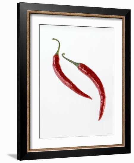 Thai Peppers-Kaktusfactory-Framed Photographic Print