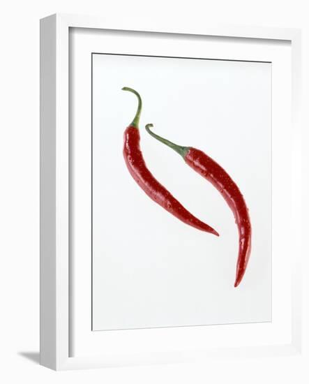 Thai Peppers-Kaktusfactory-Framed Photographic Print