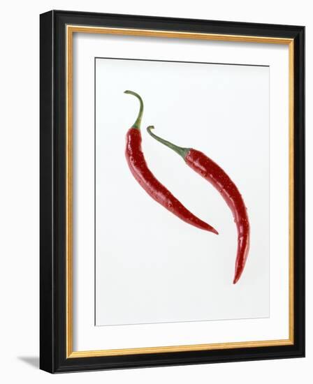 Thai Peppers-Kaktusfactory-Framed Photographic Print