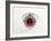 Thai Ruby Ring-null-Framed Photographic Print