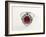 Thai Ruby Ring-null-Framed Photographic Print