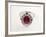 Thai Ruby Ring-null-Framed Photographic Print