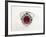 Thai Ruby Ring-null-Framed Photographic Print