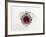 Thai Ruby Ring-null-Framed Photographic Print