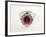 Thai Ruby Ring-null-Framed Photographic Print