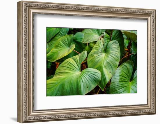 Thailand - 158-Ben Heine-Framed Photographic Print