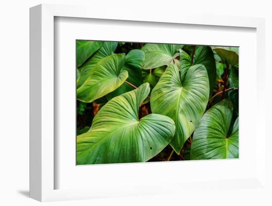 Thailand - 158-Ben Heine-Framed Photographic Print