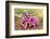 Thailand - 205-Ben Heine-Framed Photographic Print