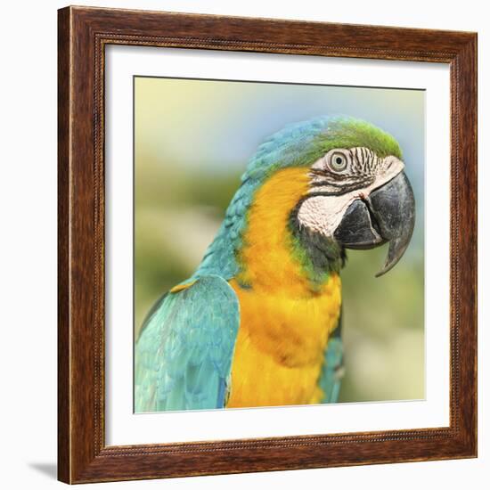 Thailand - 367-Ben Heine-Framed Photographic Print