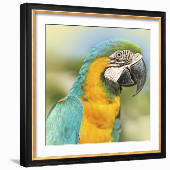 Thailand - 367-Ben Heine-Framed Photographic Print