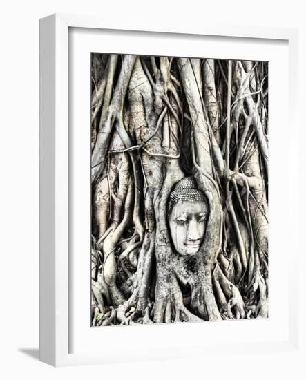 Thailand, Ayutthaya, the head of the sandstone Buddha image in roots of Bodhi tree-Terry Eggers-Framed Photographic Print