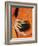 Thailand, Bangkok, Detail of Monk Holding Alms Bowl-Steve Vidler-Framed Photographic Print