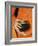 Thailand, Bangkok, Detail of Monk Holding Alms Bowl-Steve Vidler-Framed Photographic Print